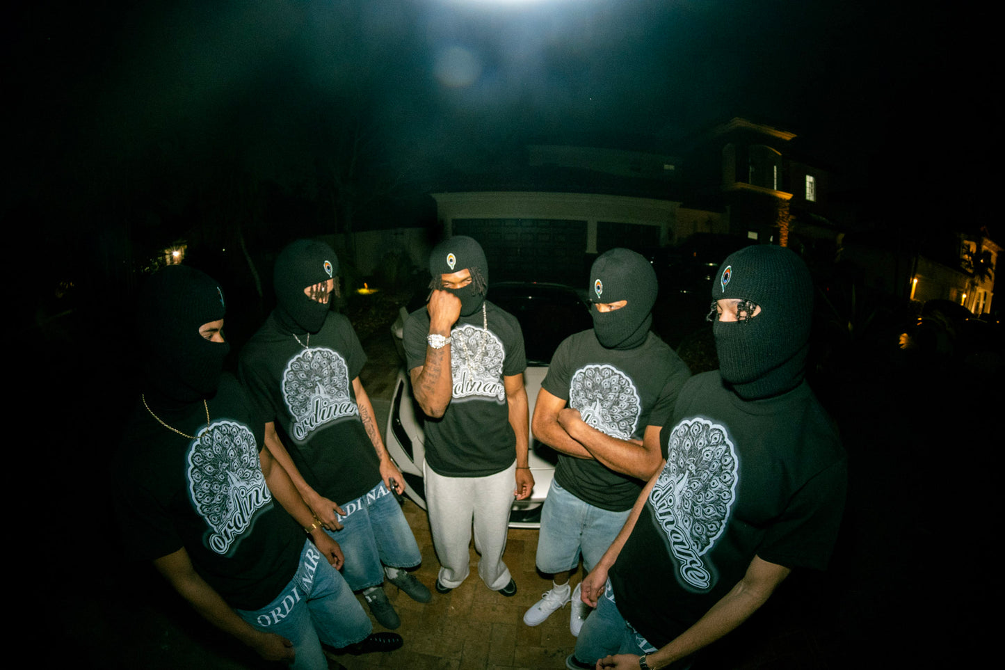 Ordinaré ski mask