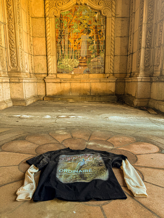 Ordinaré Long sleeve